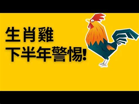 2023屬雞買房方位|【2023屬雞買房方位】2023屬雞買房攻略：絕佳方位＋吉利樓層。